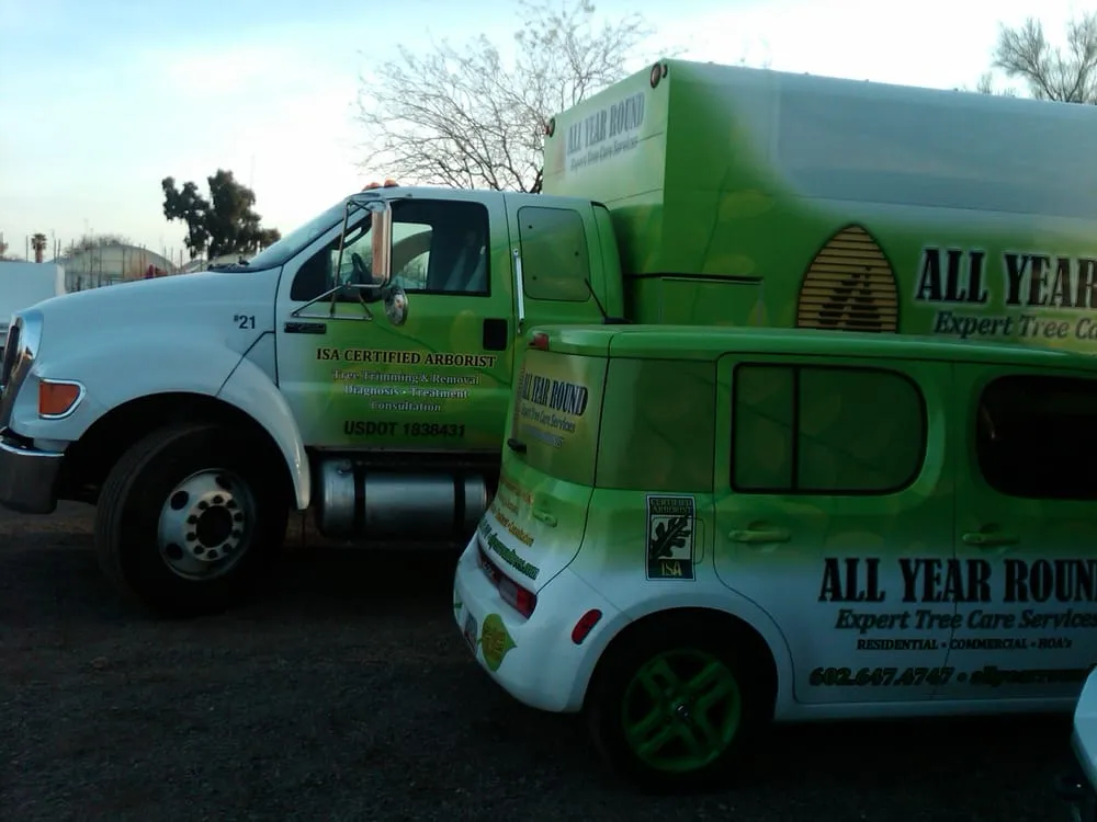 Professional lawn care service in Phoenix, AZ by All Year Round Tree & Landscape Management