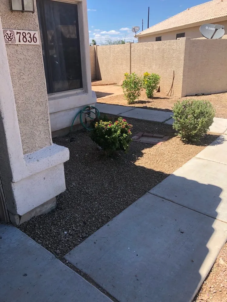 Trusted outdoor landscaping in Phoenix, AZ by All Year Round Tree & Landscape Management