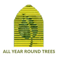 Expert lawn care service in Phoenix, AZ - All Year Round Tree & Landscape Management