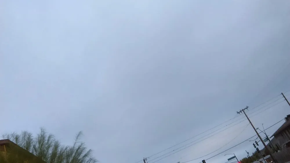 Expert landscape installation in Phoenix, AZ by All Year Round Tree & Landscape Management