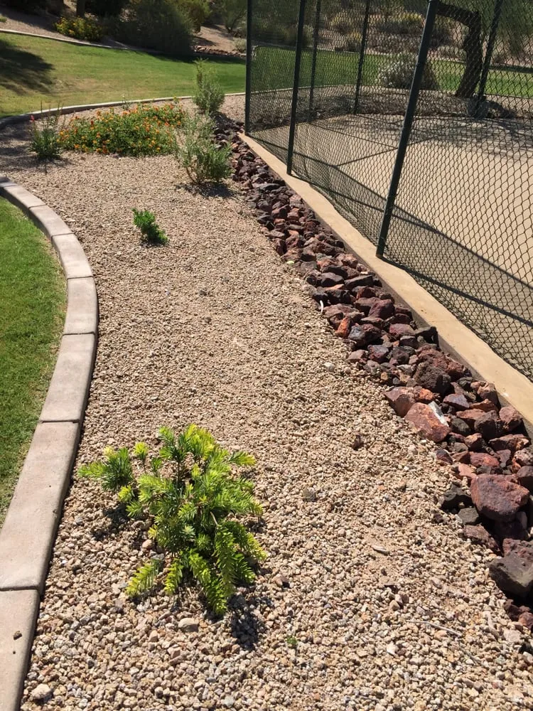 Affordable landscape design in Phoenix, AZ by All Year Round Tree & Landscape Management