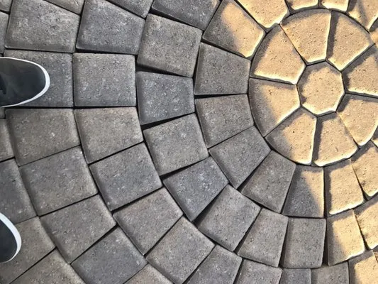 All Year Round Tree & Landscape Management Logo