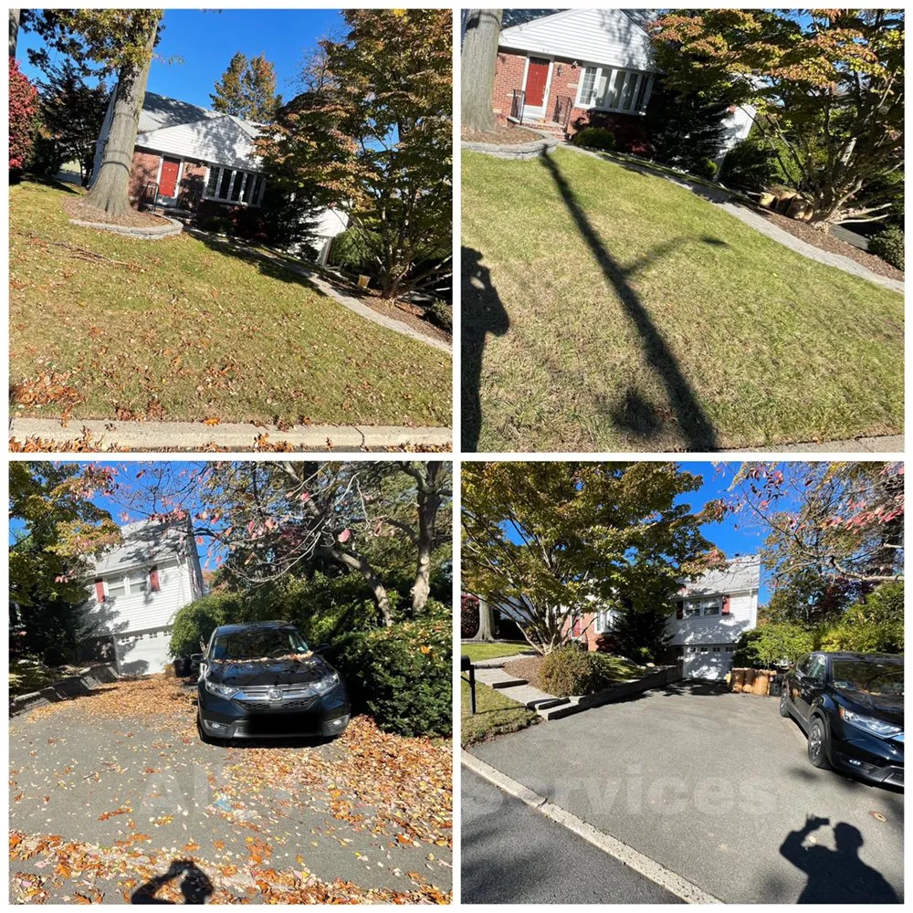 Reliable yard cleanup service experts serving Emerson, NJ - All Year Services