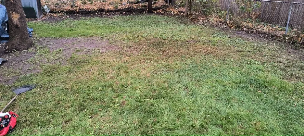 Local residential landscaping experts serving Jackson, MI - All You Can Think Lawncare Services