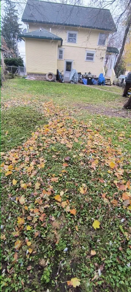 Top-rated lawn care service in Jackson, MI - All You Can Think Lawncare Services