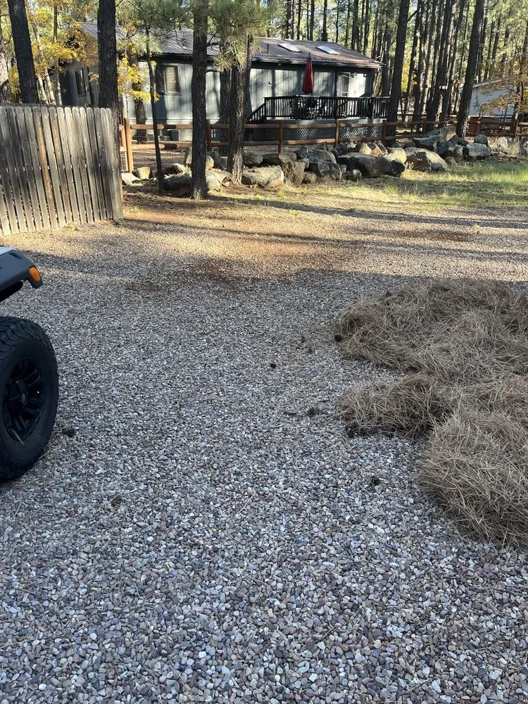 Local residential landscaping for homes in Pinetop-Lakeside, AZ by All You Need is Love Services