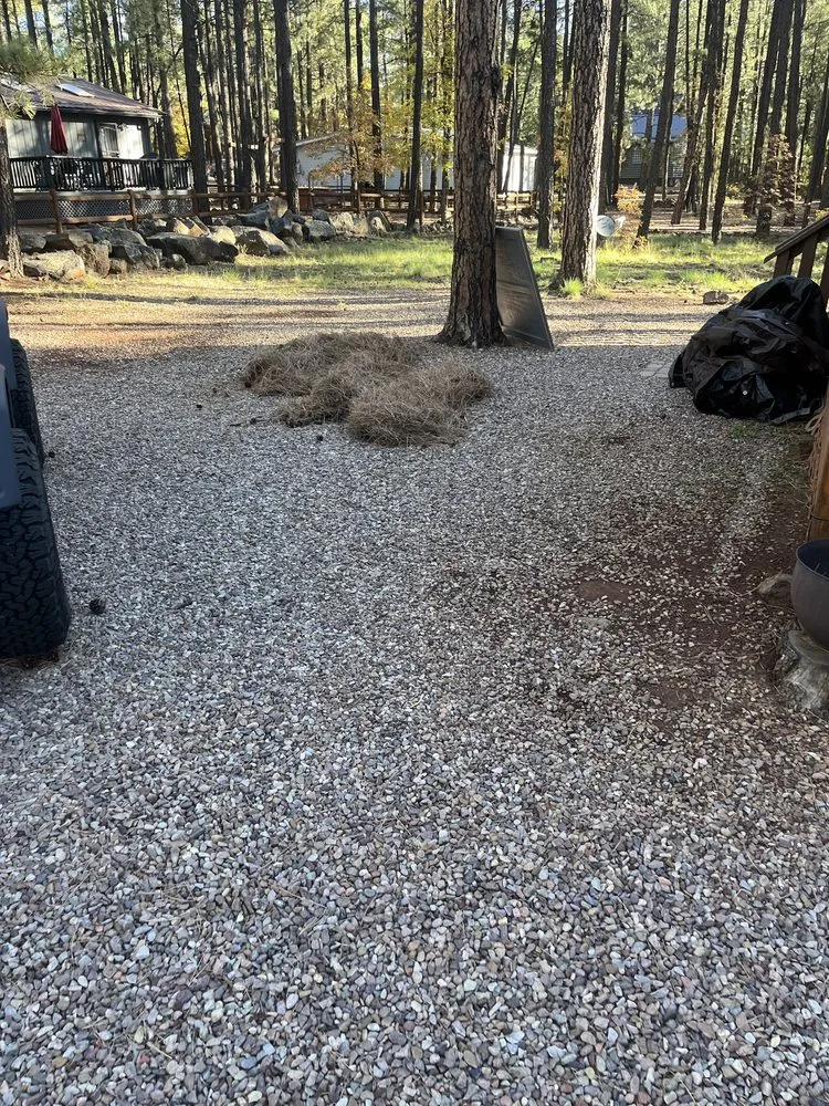 Trusted lawn mowing service in Pinetop-Lakeside, AZ - All You Need is Love Services