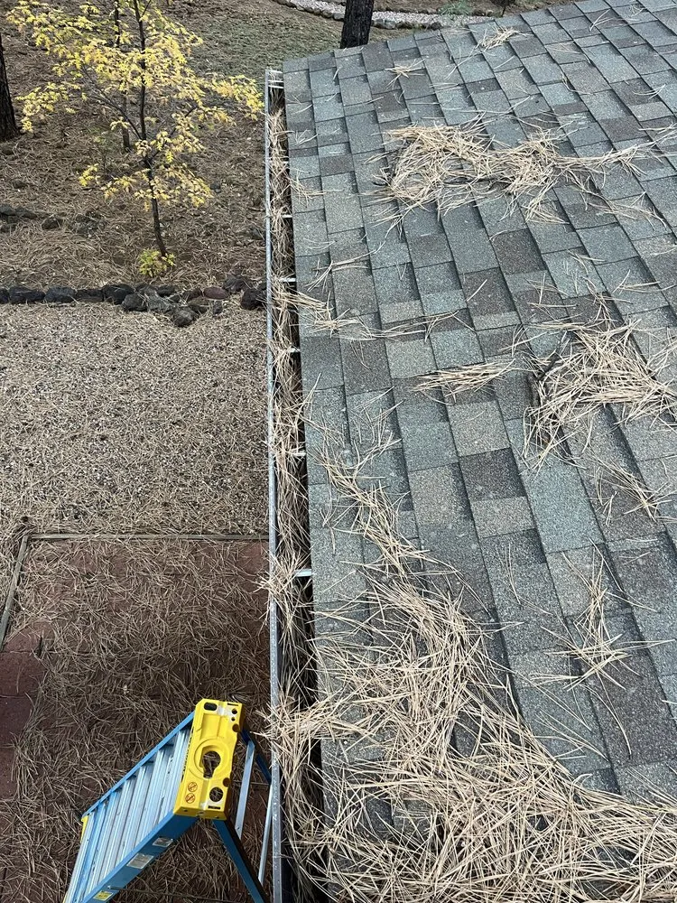 Reliable yard maintenance for year-round maintenance in Pinetop-Lakeside, AZ by All You Need is Love Services