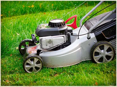 Professional landscape design in Lacey, WA - All You Need Landscaping