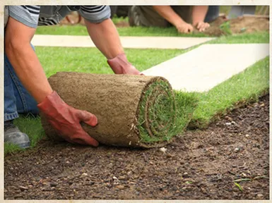 Professional lawn mowing service for year-round maintenance across Lacey, WA - All You Need Landscaping