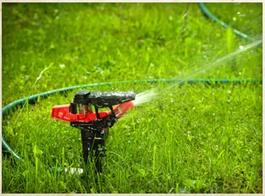 Trusted outdoor landscaping for beautiful yards across Lacey, WA - All You Need Landscaping