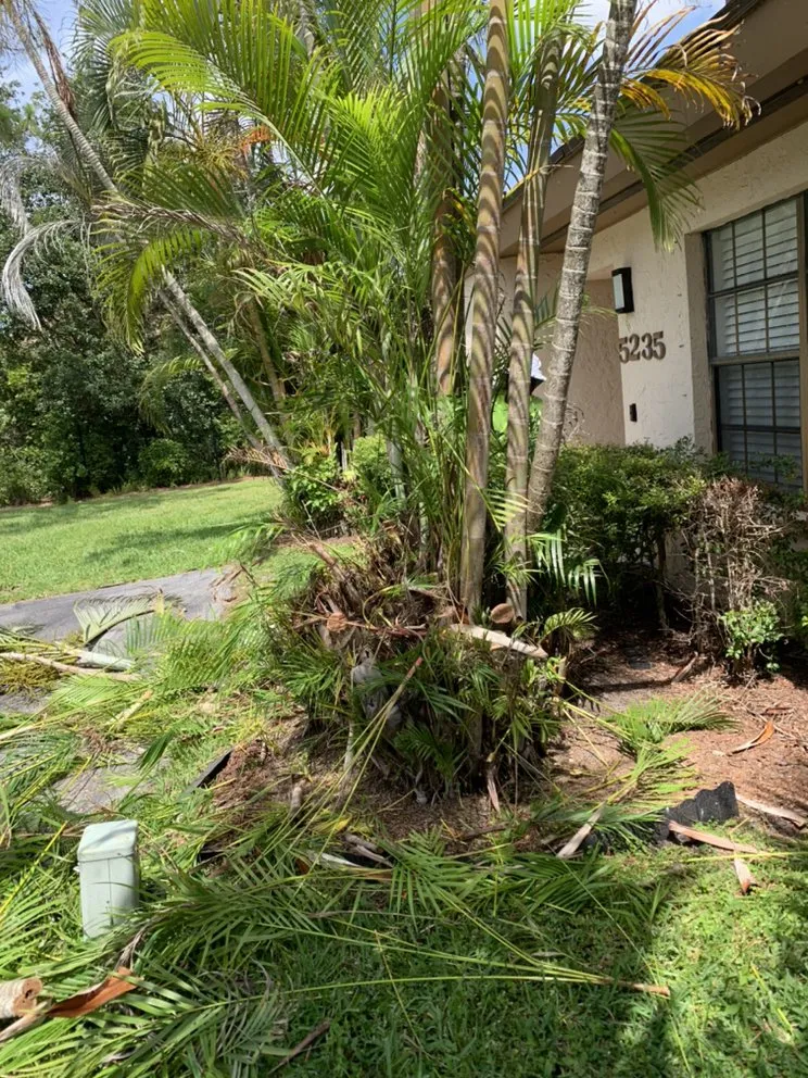 Local outdoor landscaping in West Palm Beach, FL by All You Need Lawn Service