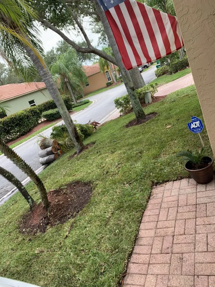 Expert yard maintenance in West Palm Beach, FL by All You Need Lawn Service