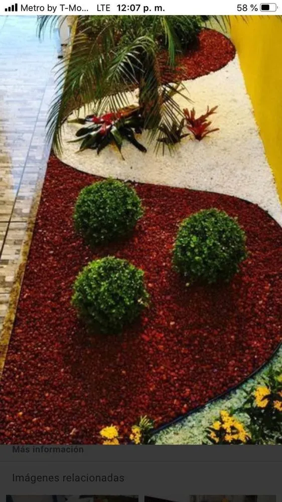 Affordable landscape installation experts serving West Palm Beach, FL - All You Need Lawn Service