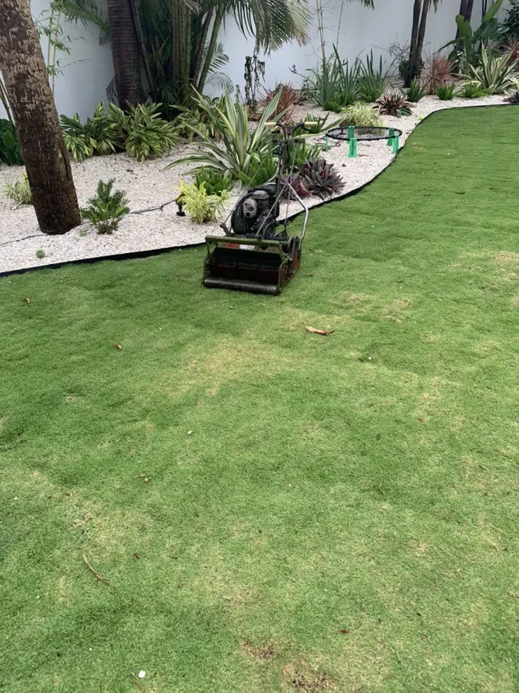 Affordable yard maintenance experts serving West Palm Beach, FL - All You Need Lawn Service
