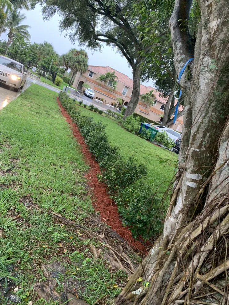 Affordable yard cleanup service in West Palm Beach, FL by All You Need Lawn Service