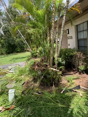 All You Need Lawn Service Logo