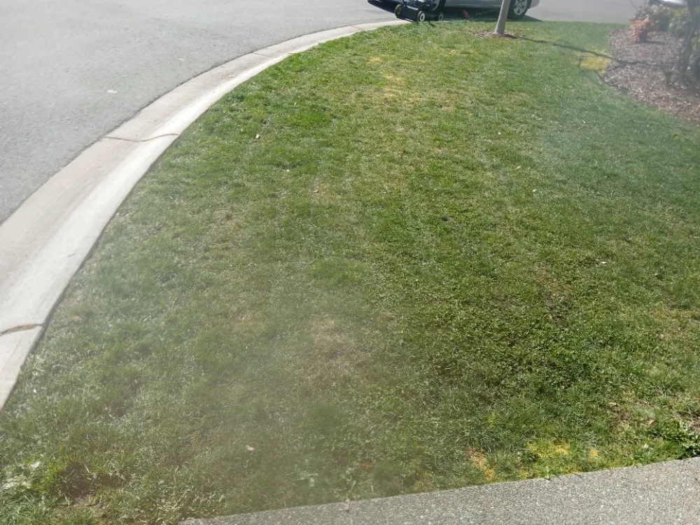 Local residential landscaping for residential properties across Tacoma, WA - All&1 Mowing Services