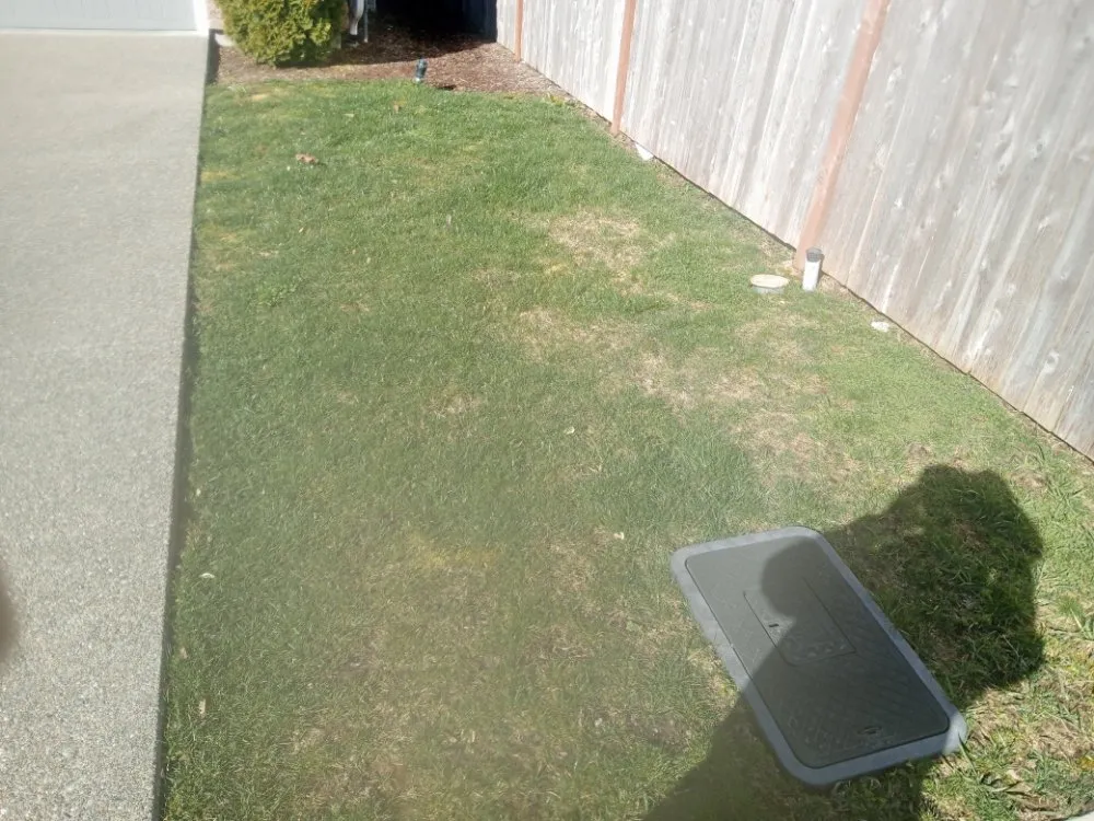 Professional yard cleanup service in Tacoma, WA - All&1 Mowing Services