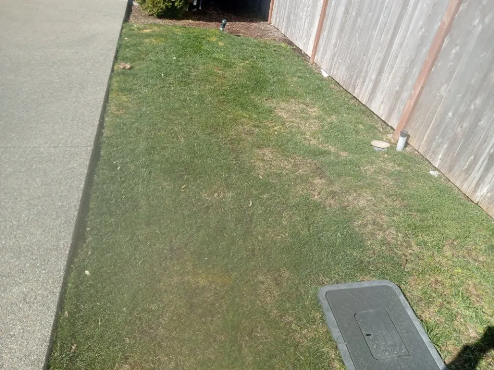 Reliable lawn care service for outdoor upgrades across Tacoma, WA - All&1 Mowing Services