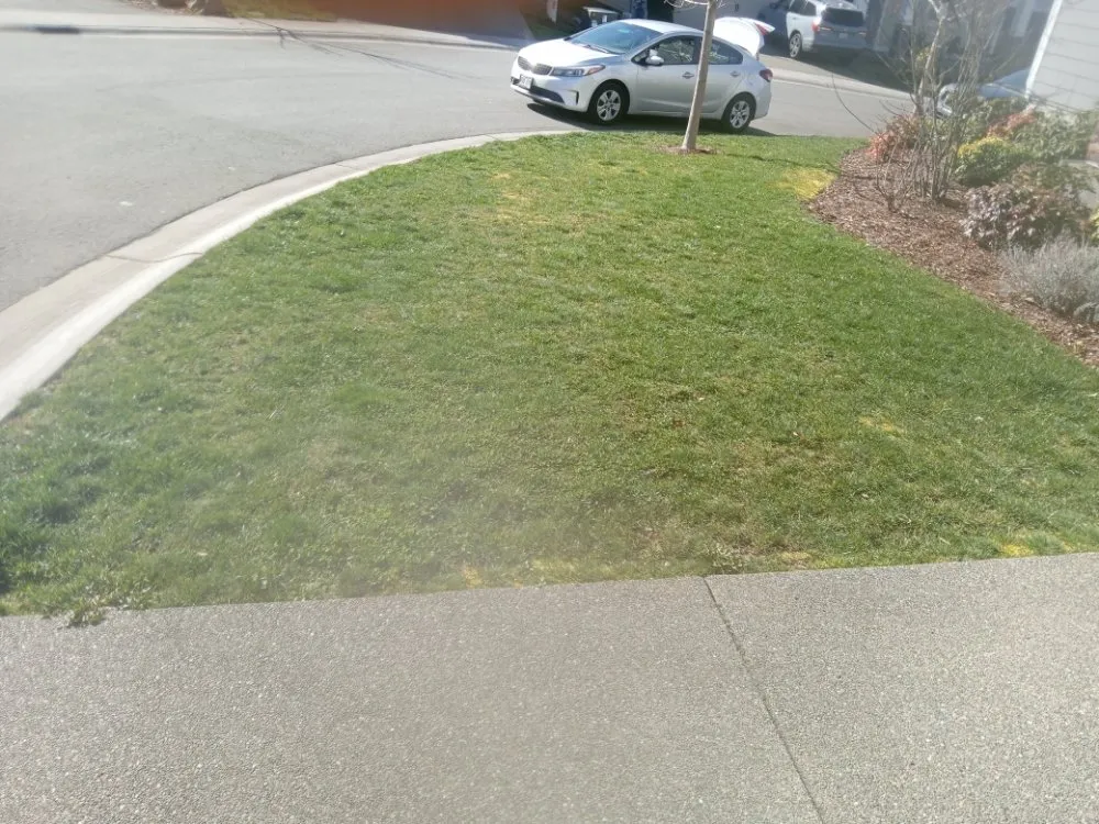 Expert outdoor landscaping for homes across Tacoma, WA - All&1 Mowing Services