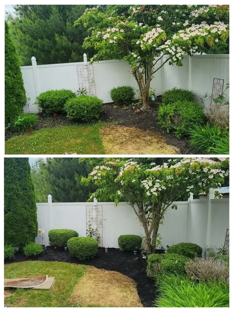 Affordable landscaping services in Nanticoke, PA - Allaboot Home Services