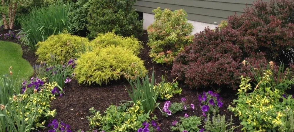 Affordable landscaping services in Mahwah, NJ by Allan Bellezza Contracting