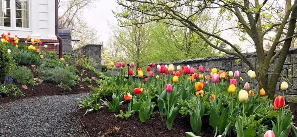 Local yard cleanup service in Mahwah, NJ - Allan Bellezza Contracting