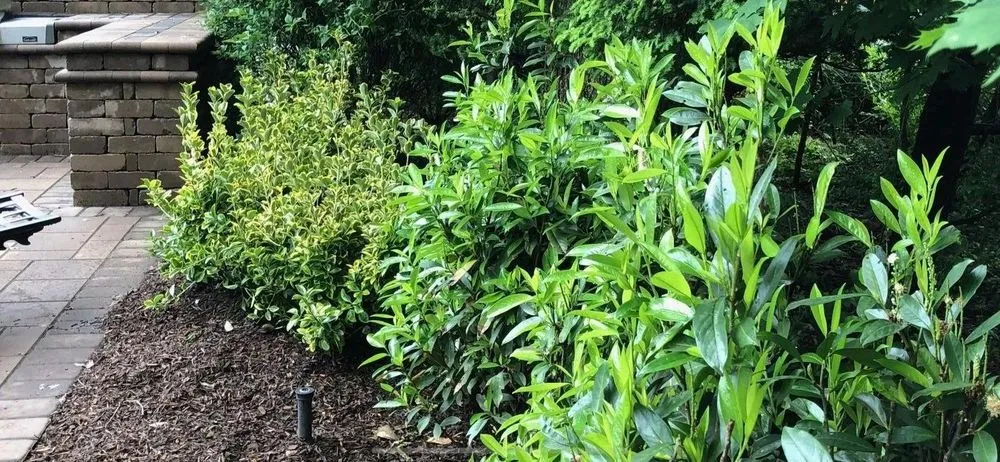 Professional landscape design for year-round maintenance in Mahwah, NJ by Allan Bellezza Contracting