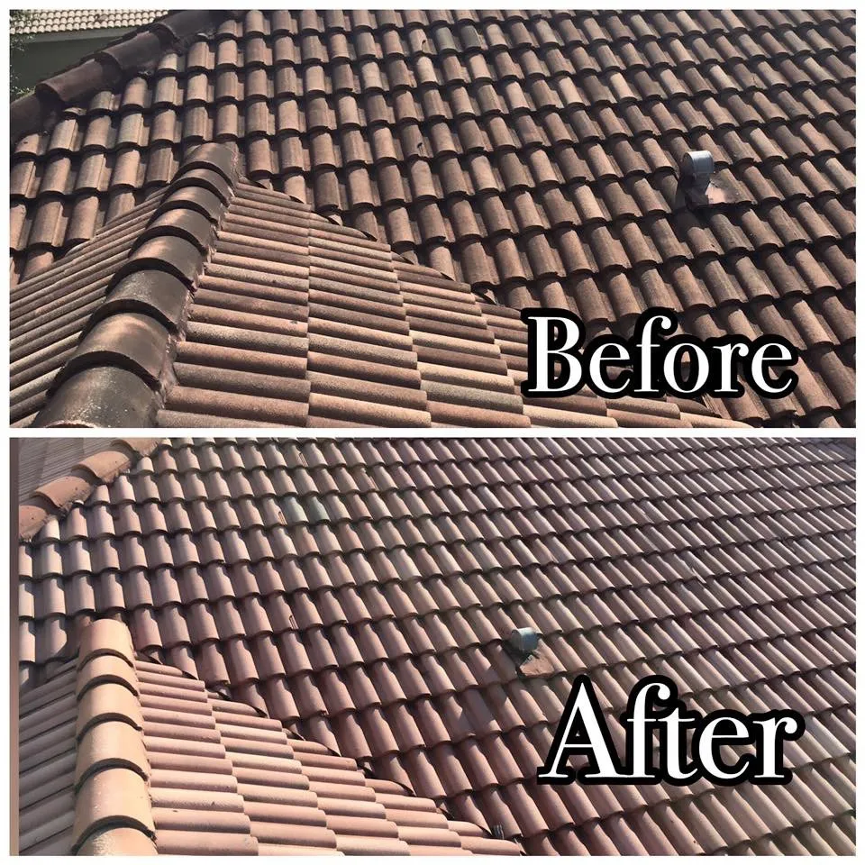 Professional landscape installation for residential properties across Fort Lauderdale, FL - Allan Mendoza Landscaping & High Power Pressure Cleaning