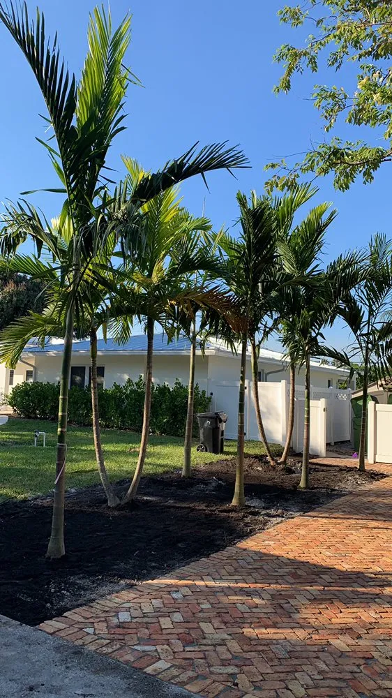 Professional landscape design experts serving Fort Lauderdale, FL - Allan Mendoza Landscaping & High Power Pressure Cleaning