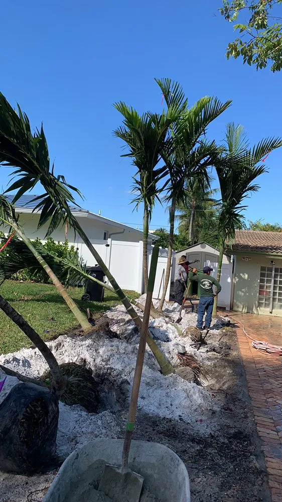 Top-rated residential landscaping near you across Fort Lauderdale, FL - Allan Mendoza Landscaping & High Power Pressure Cleaning
