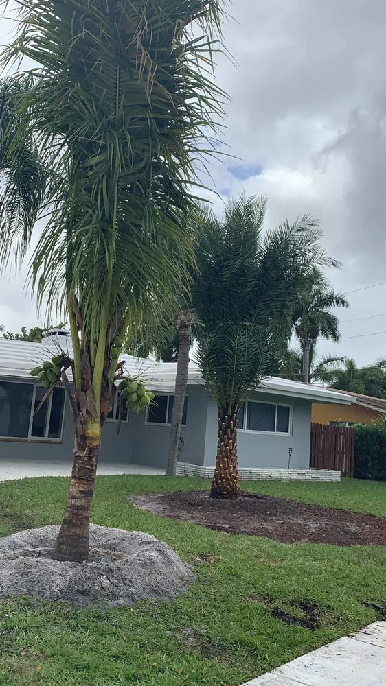 Reliable outdoor landscaping in Fort Lauderdale, FL by Allan Mendoza Landscaping & High Power Pressure Cleaning