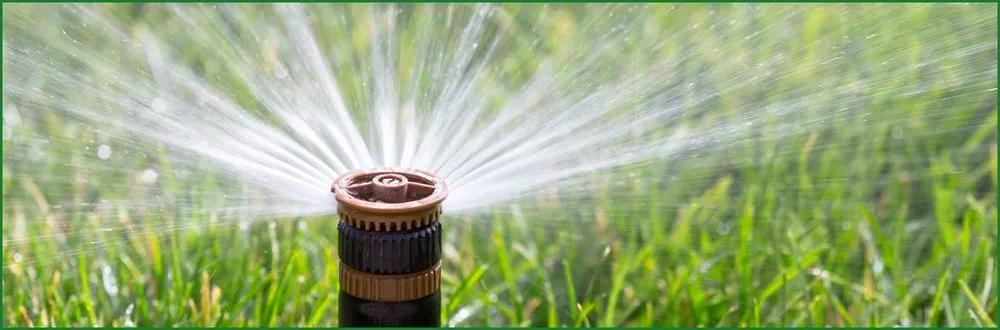 Local landscaping services in Fort Lauderdale, FL - Allan Mendoza Landscaping & High Power Pressure Cleaning