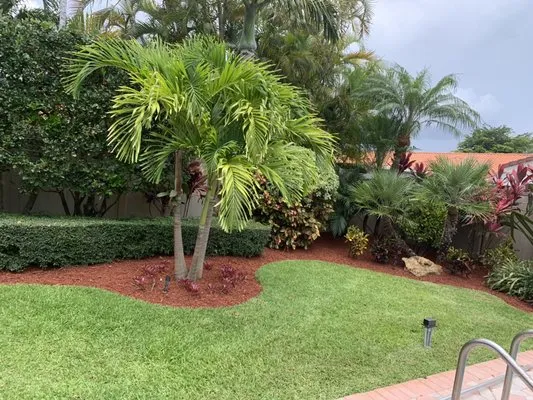 Allan Mendoza Landscaping & High Power Pressure Cleaning