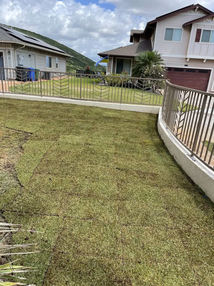 Top-rated landscape design in Honolulu, HI - Allan Yard Maintenance and Landscaping