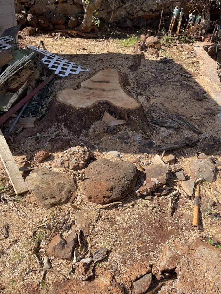 Local yard maintenance in Honolulu, HI - Allan Yard Maintenance and Landscaping