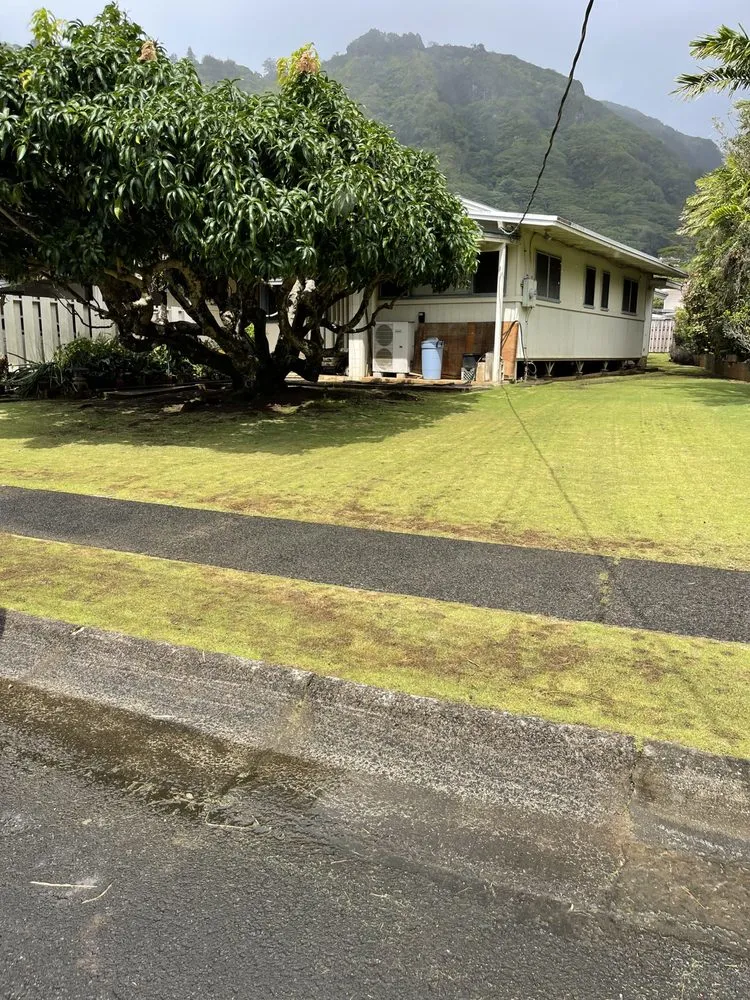 Local outdoor landscaping for homes across Honolulu, HI - Allan Yard Maintenance and Landscaping