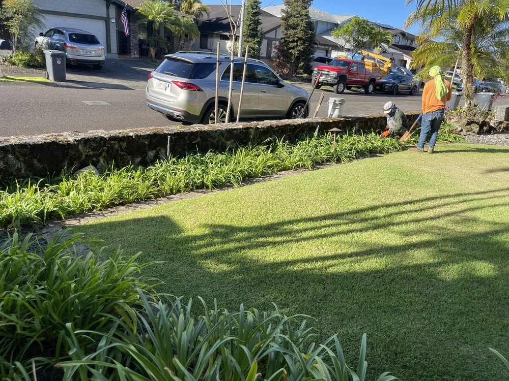Expert outdoor landscaping in Honolulu, HI - Allan Yard Maintenance and Landscaping