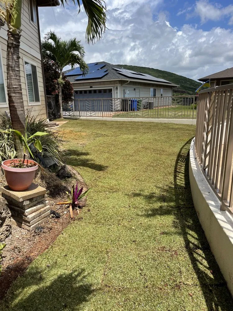 Local residential landscaping for year-round maintenance in Honolulu, HI by Allan Yard Maintenance and Landscaping