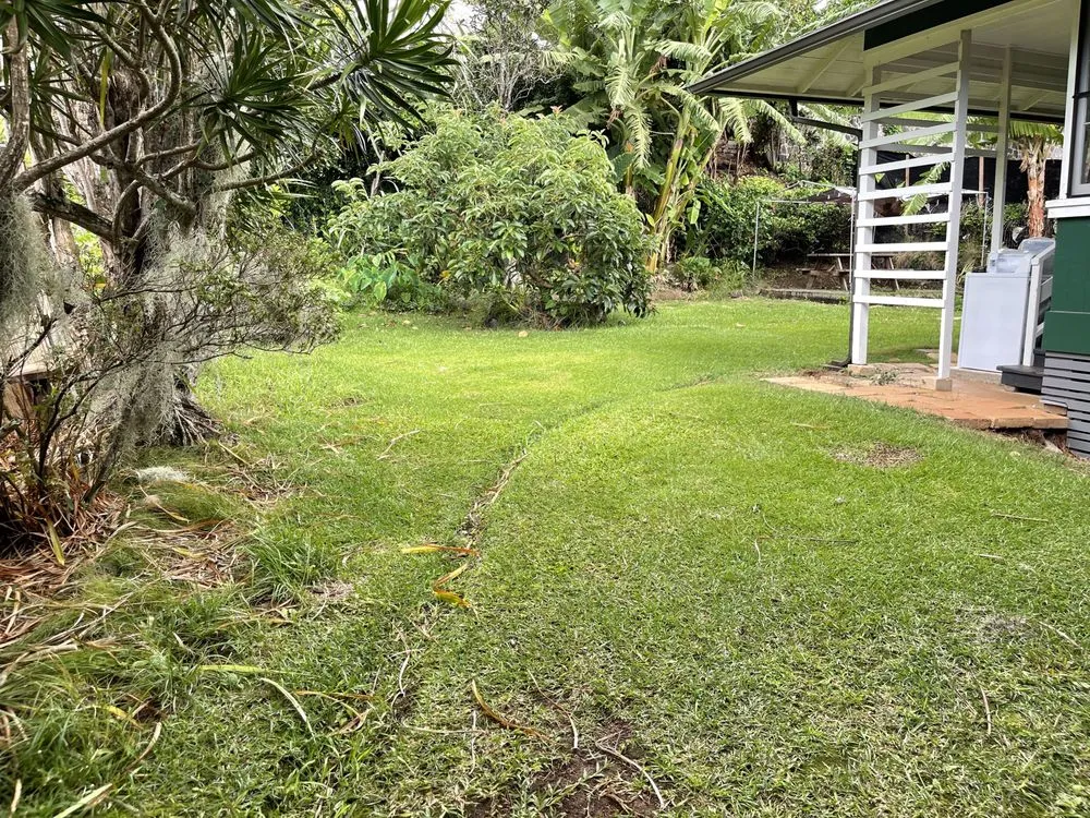 Reliable landscape installation in Honolulu, HI by Allan Yard Maintenance and Landscaping