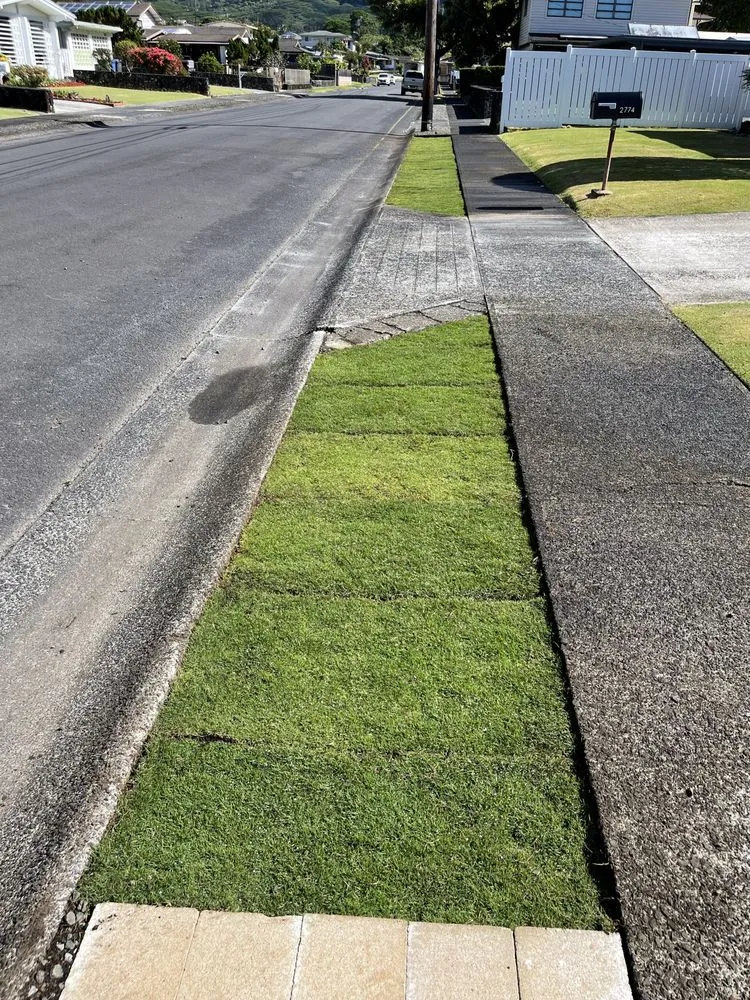 Reliable lawn mowing service experts serving Honolulu, HI - Allan Yard Maintenance and Landscaping