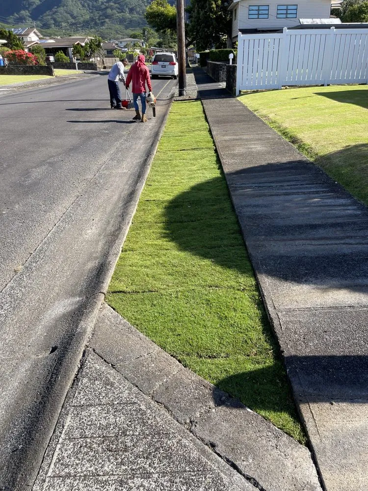 Top-rated lawn care service in Honolulu, HI by Allan Yard Maintenance and Landscaping