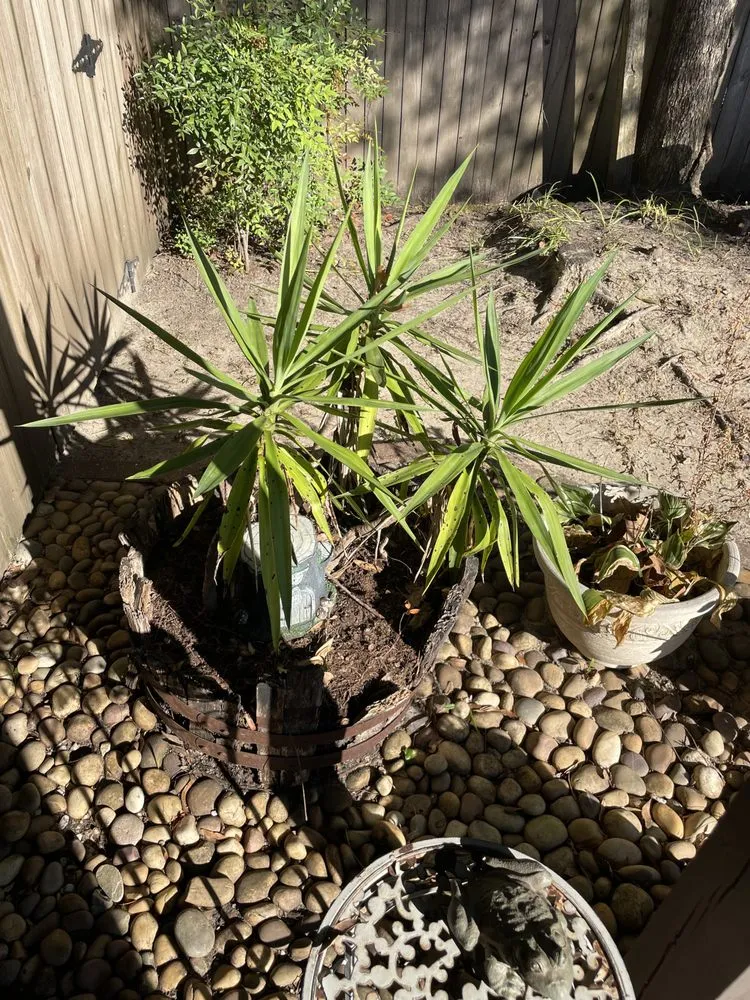 Top-rated yard maintenance for residential properties in Pensacola, FL by Allanneighborhelp