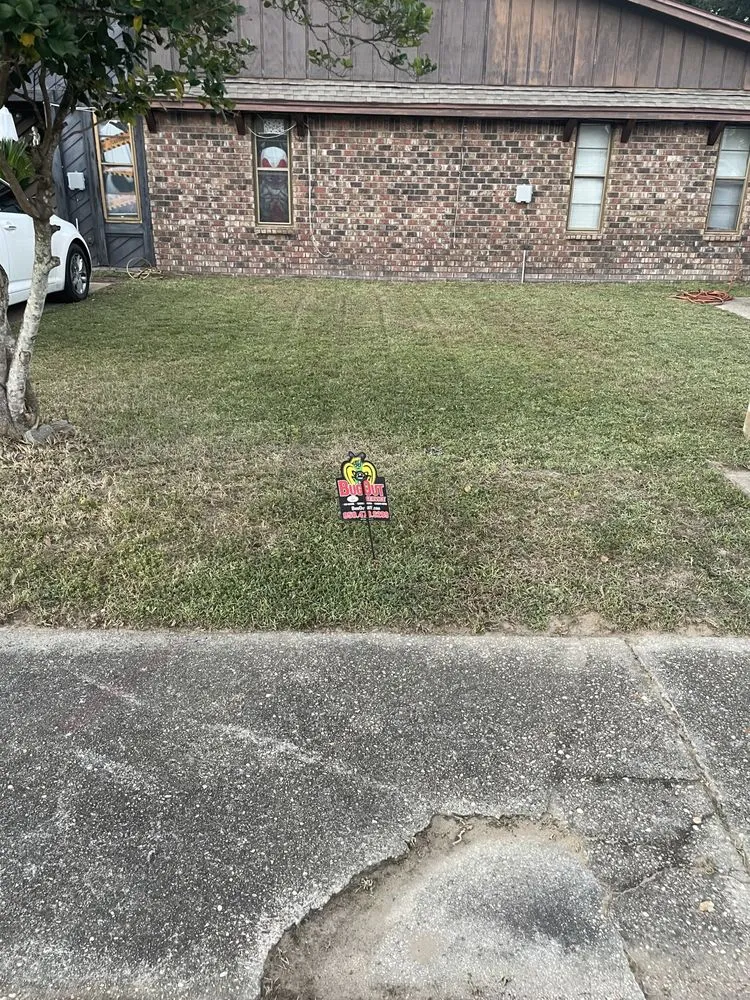 Professional residential landscaping for year-round maintenance in Pensacola, FL by Allanneighborhelp