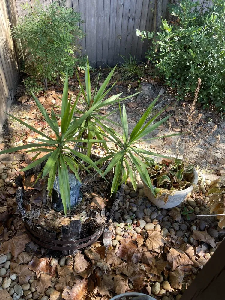 Reliable yard maintenance in Pensacola, FL - Allanneighborhelp