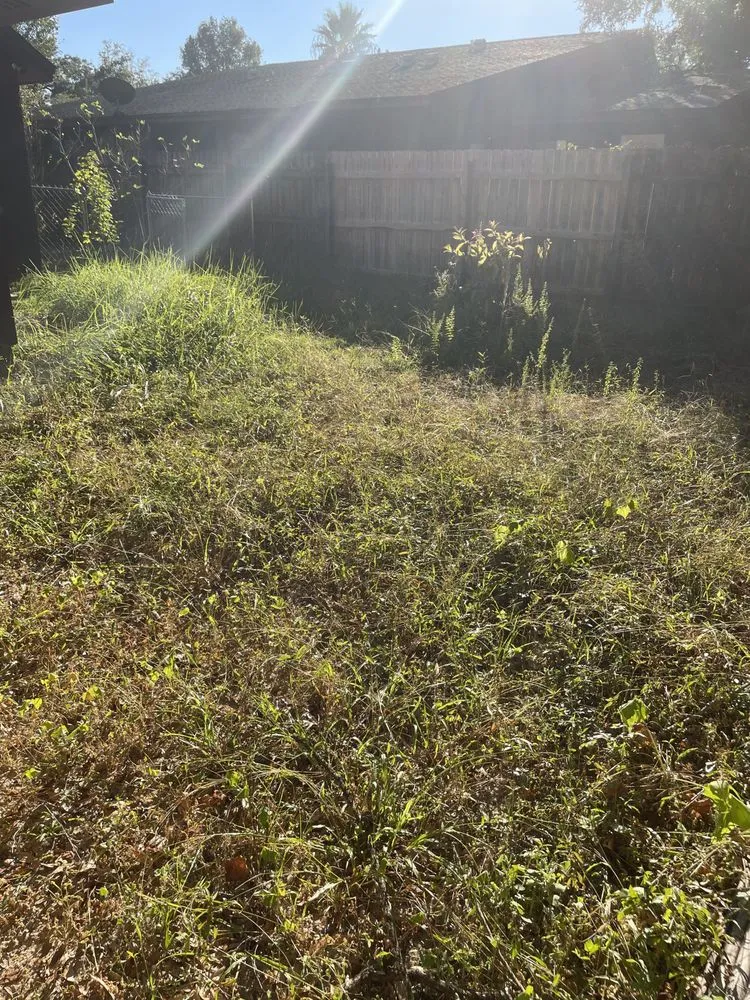 Custom lawn care service for residential properties in Pensacola, FL by Allanneighborhelp