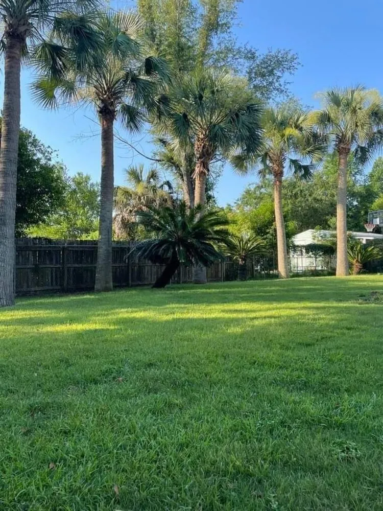 Local yard maintenance in Pensacola, FL - Allanneighborhelp