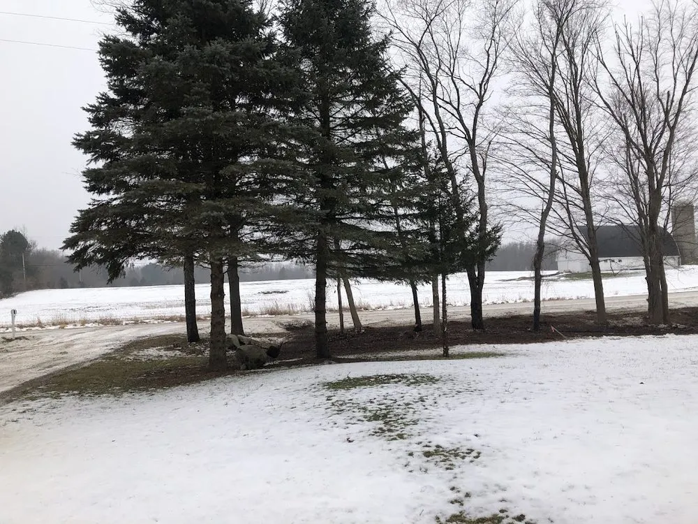 Local lawn care service for beautiful yards in Fowlerville, MI by Allan's Tree Service