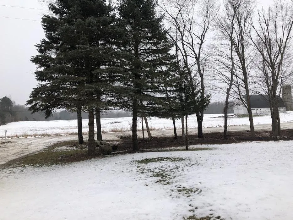 Affordable lawn mowing service experts serving Fowlerville, MI - Allan's Tree Service